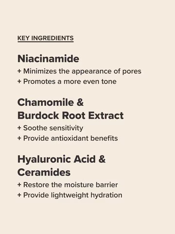 PAULA'S CHOICE SKIN BALANCING Pore-Reducing Toner купить в Beauty Storage. Быстрая доставка по России и СНГ.
