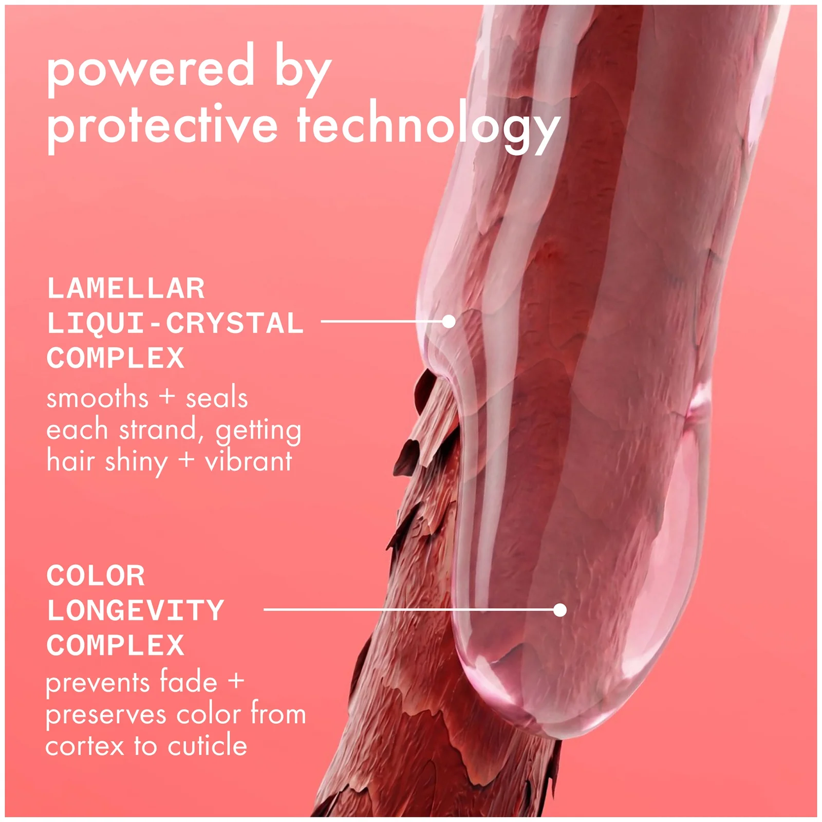 Купить AMIKA The Protector Color Protect + Strengthen Shampoo на Beautystorage.ru. Быстрая доставка по России и СНГ.
