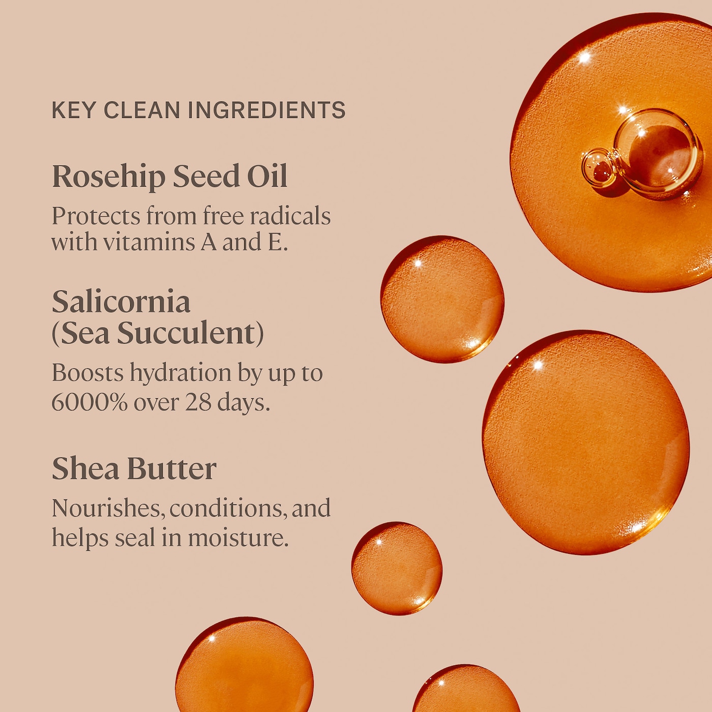 ILIA Balmy Tint Hydrating Lip Balm купить в Beauty Storage. Быстрая доставка по России и СНГ.
