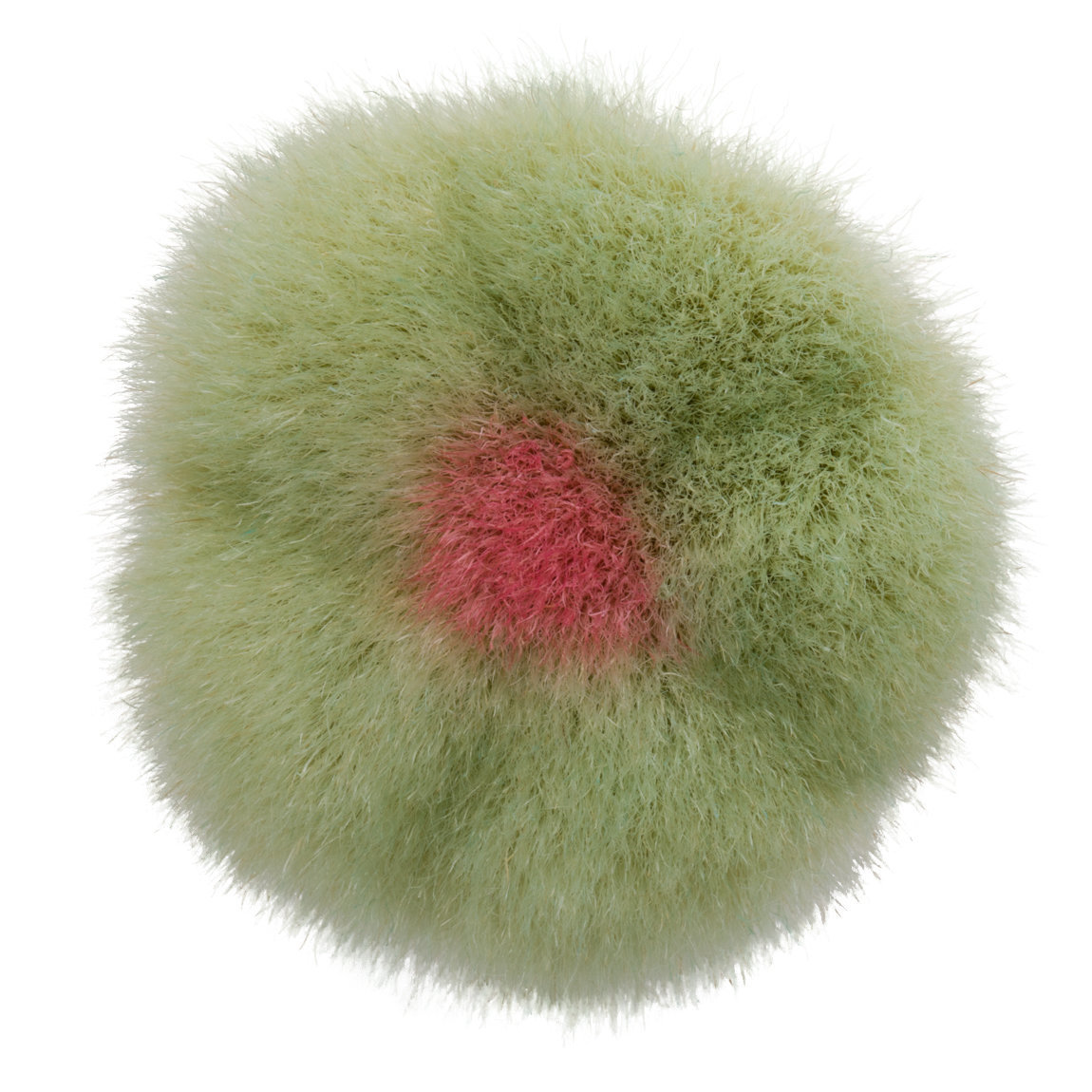 KOYUDO Innovative Series F005 PowderBlush Brush - Green