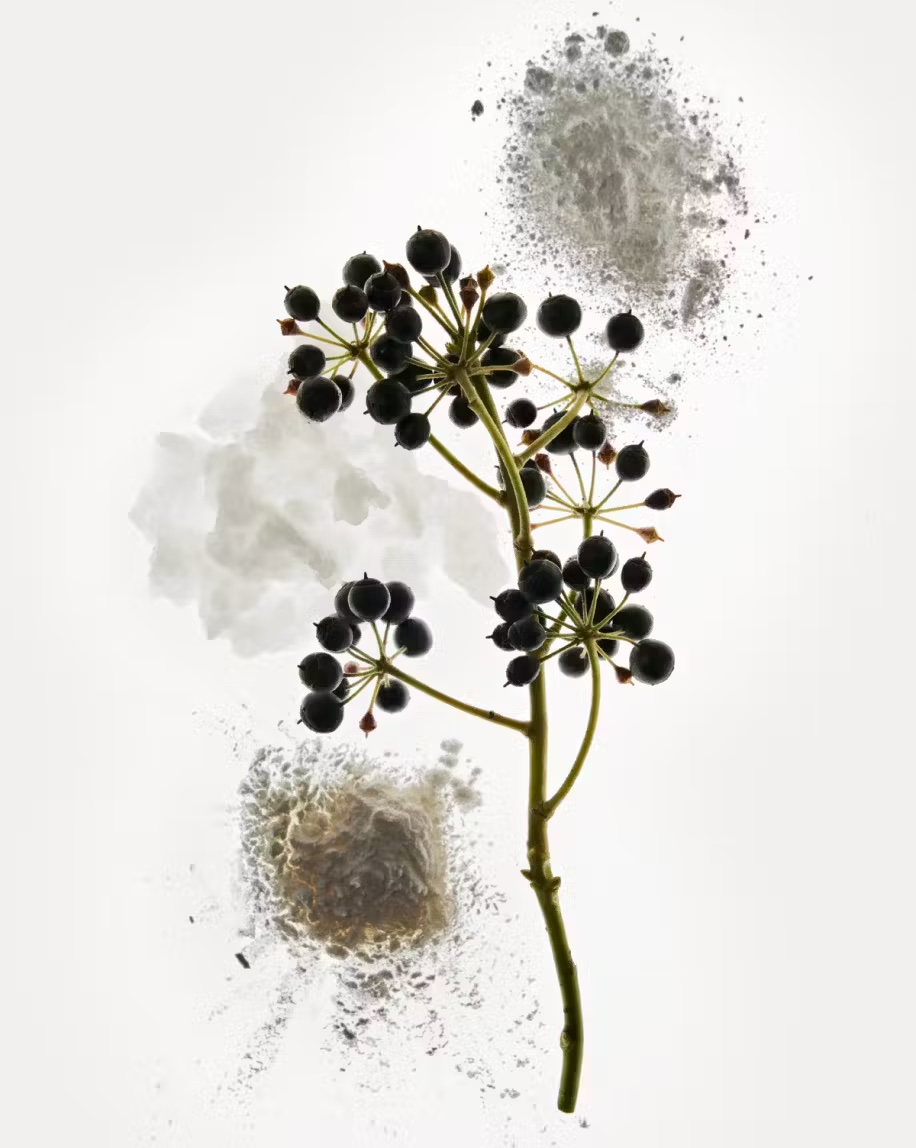 GLOSSIER Refillable Aluminum-Free Deodorant купить в Beauty Storage. Быстрая доставка по России и СНГ.