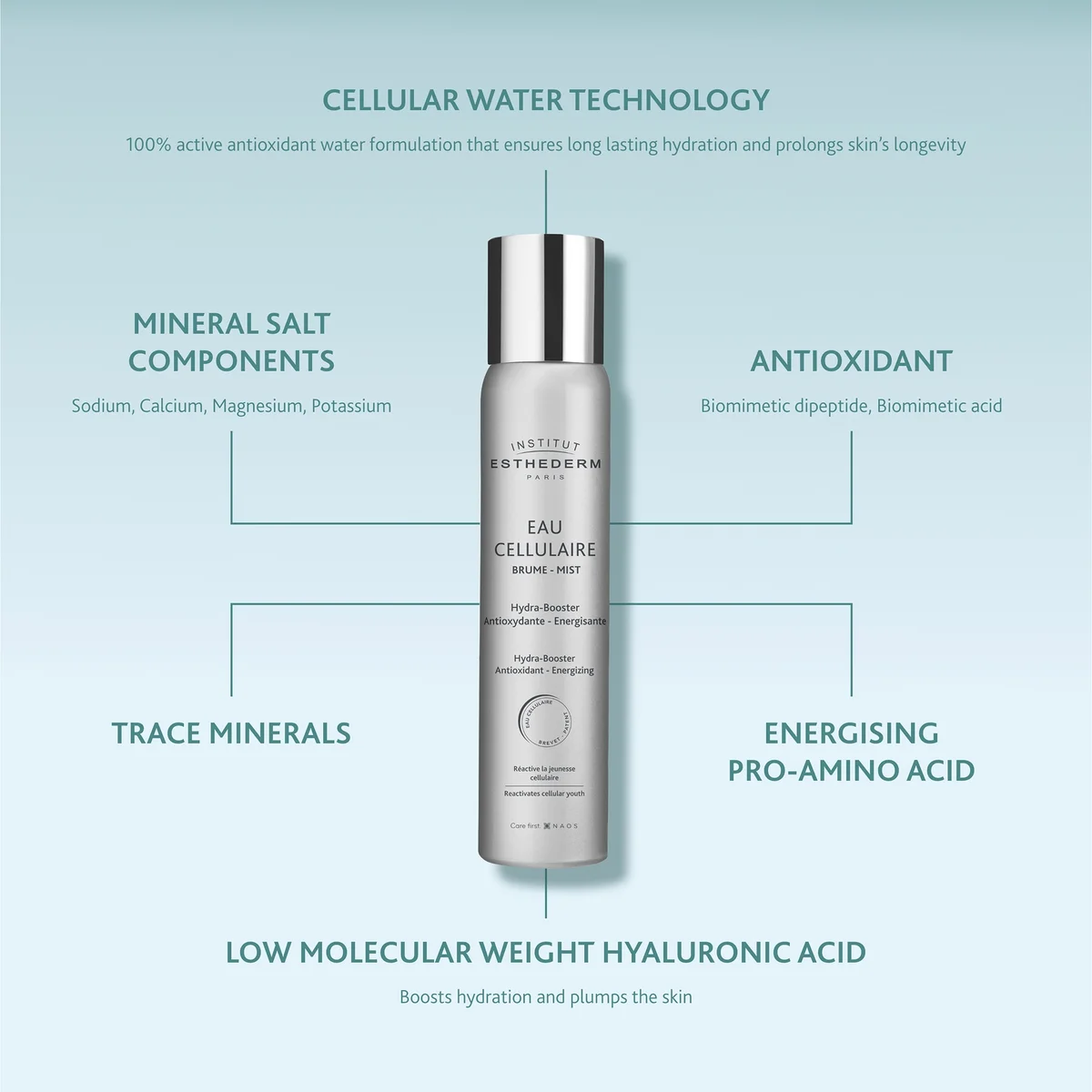 Купить INSTITUT ESTHEDERM Cellular Water Antioxidant Face Mist на Beautystorage.ru. Быстрая доставка по России и СНГ.