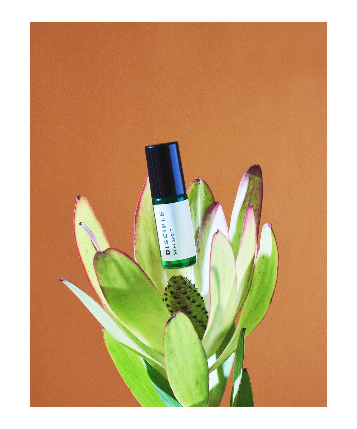 Disciple Skincare What Spot? (5ml)