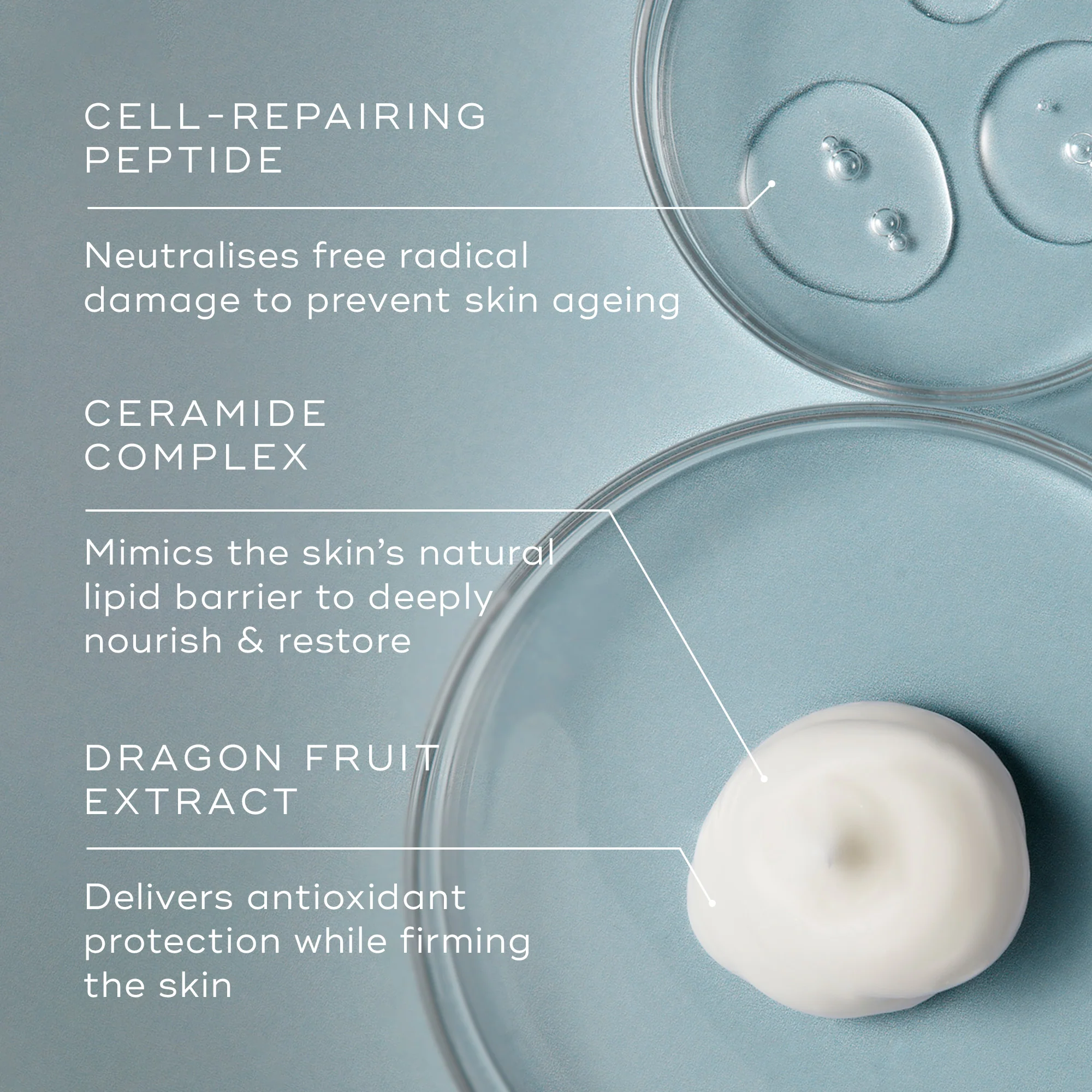 MEDIK8 Advanced Night Restore™ Rejuvenating Multi-Ceramide Night Cream купить в Beauty Storage. Быстрая доставка по России и СНГ.
