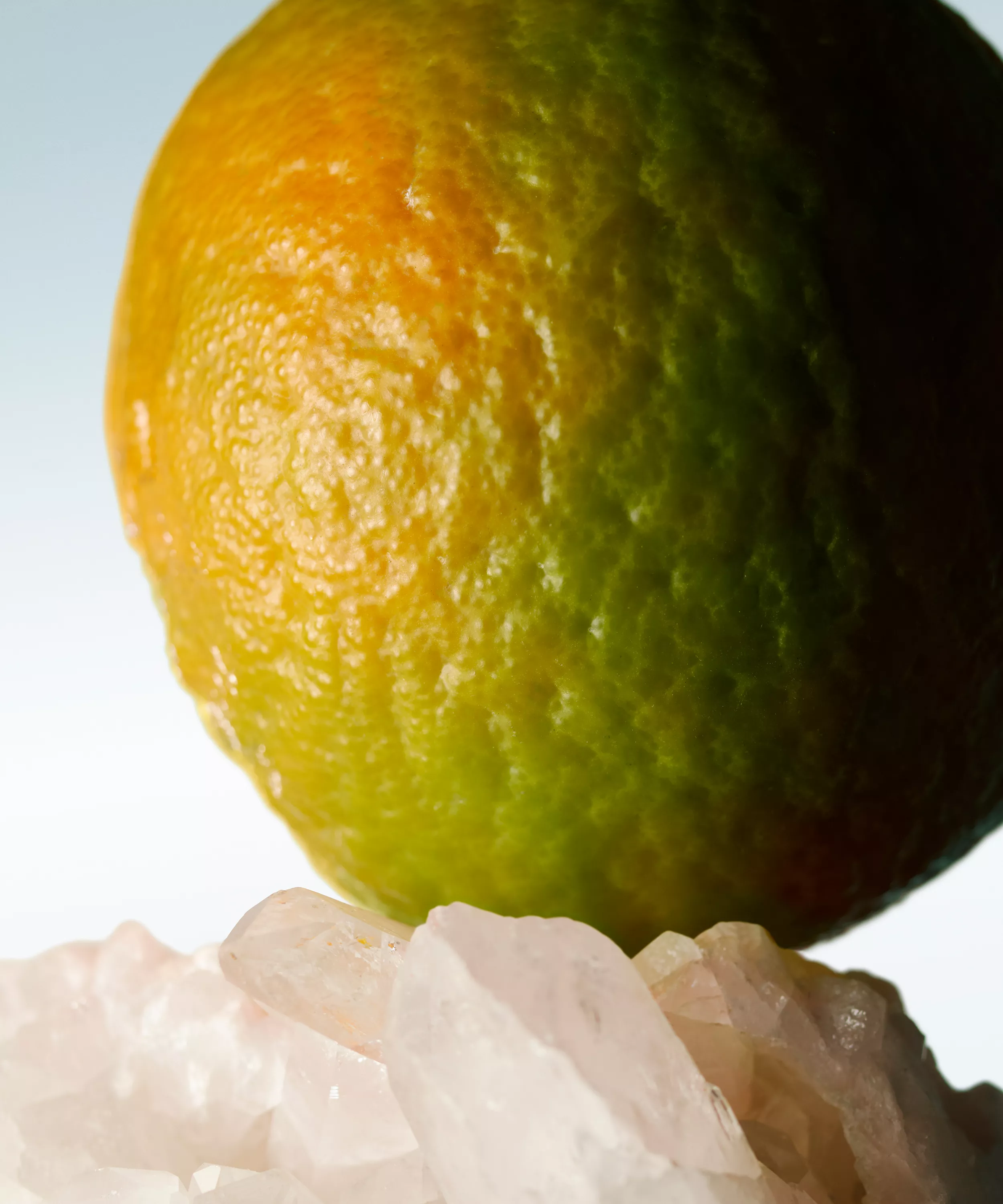 DRIES VAN NOTEN Mystic Moss Eau de Toilette купить в Beauty Storage. Быстрая доставка по России и СНГ.