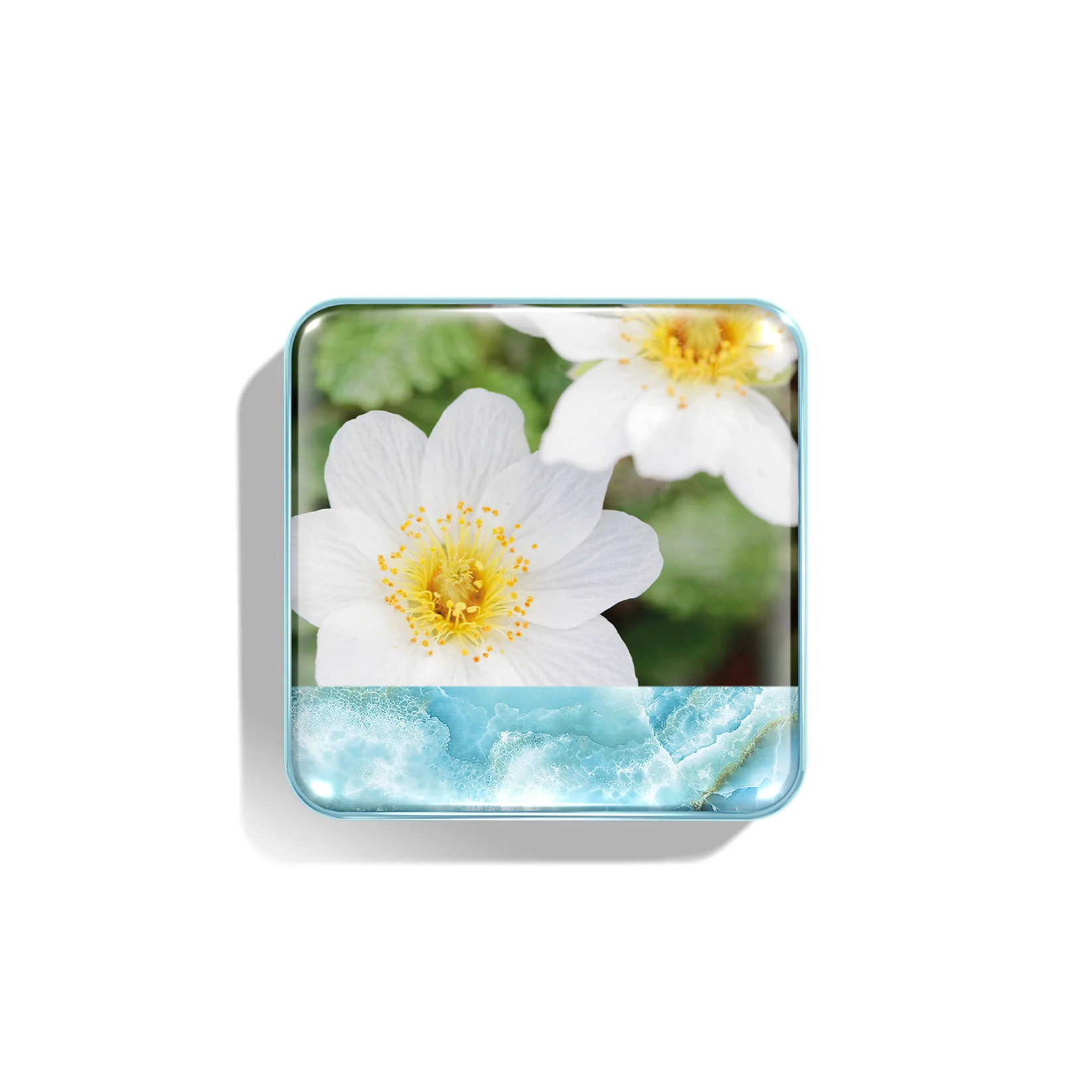 CHANTECAILLE Wild Meadows Blush купить в Beauty Storage. Быстрая доставка по России и СНГ.