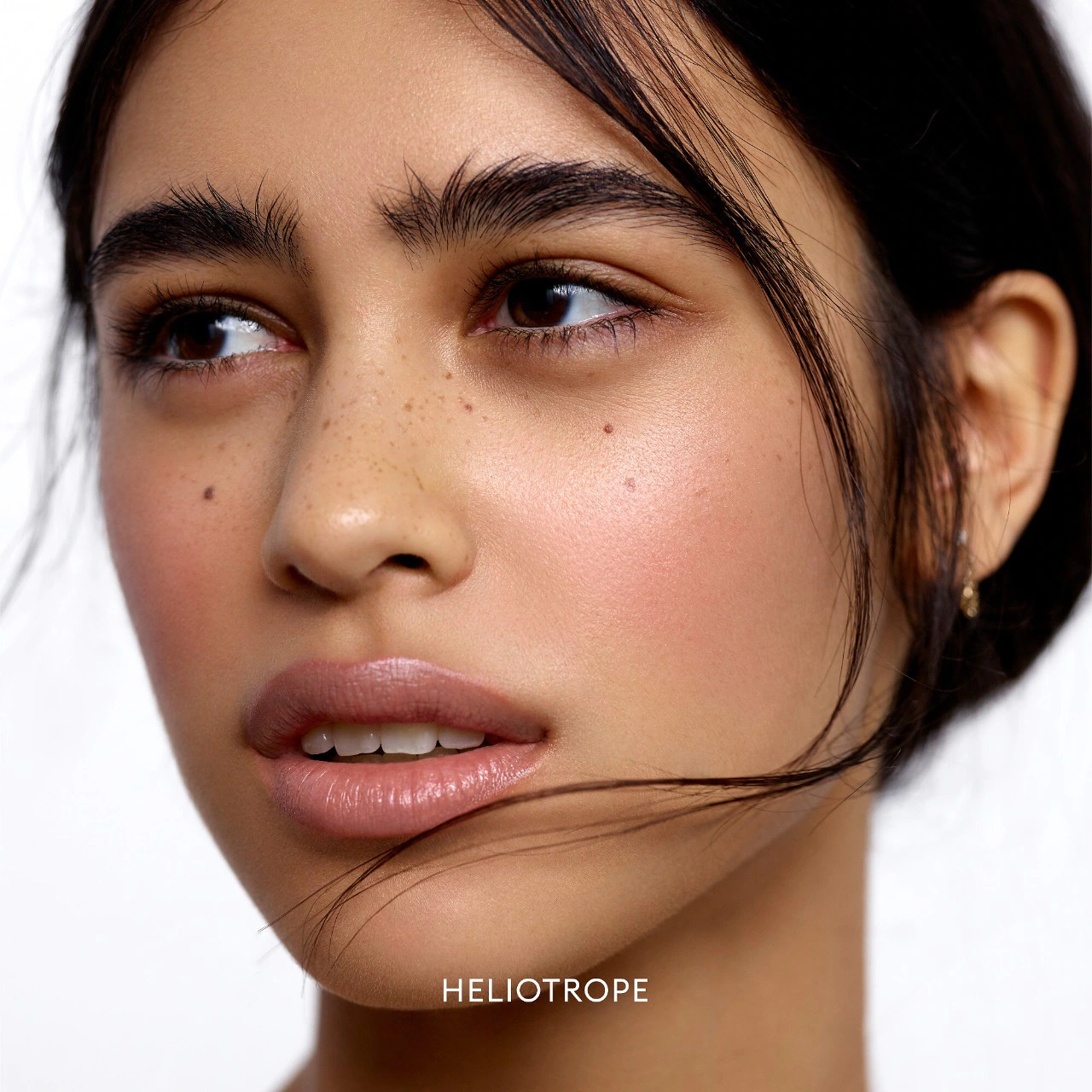 ROSE INC Cream Blush Refillable Cheek & Lip Color купить в Beauty Storage. Быстрая доставка по России и СНГ.