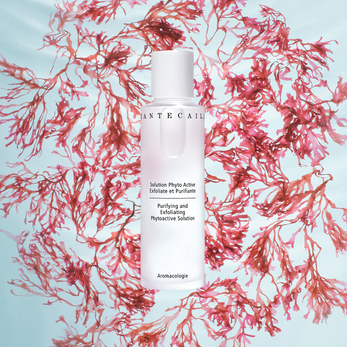 CHANTECAILLE Purifying and Exfoliating Phytoactive Solution купить в Beauty Storage. Быстрая доставка по России и СНГ.
