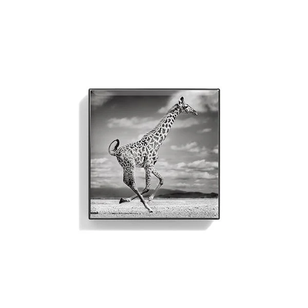 CHANTECAILLE Luminescent Eye Shades купить в Beauty Storage. Быстрая доставка по России и СНГ.