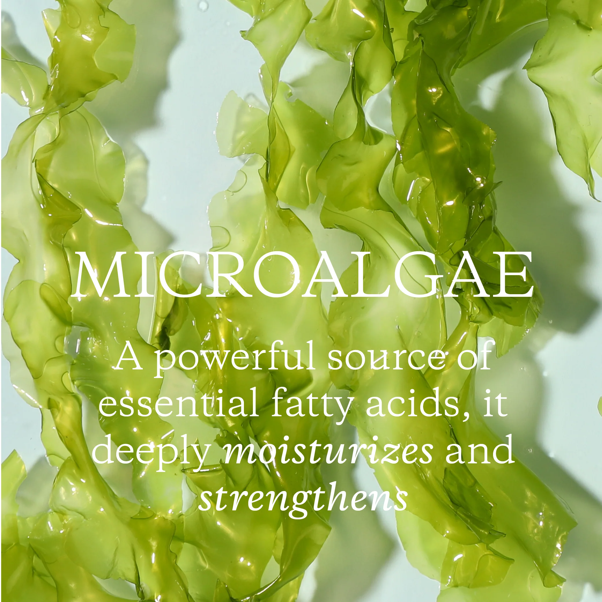 KORA ORGANICS Nourishing Hand And Body Lotion купить в Beauty Storage. Быстрая доставка по России и СНГ.