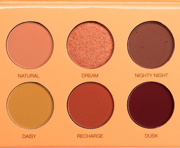 COLOURED RAINE Beauty Rust™️