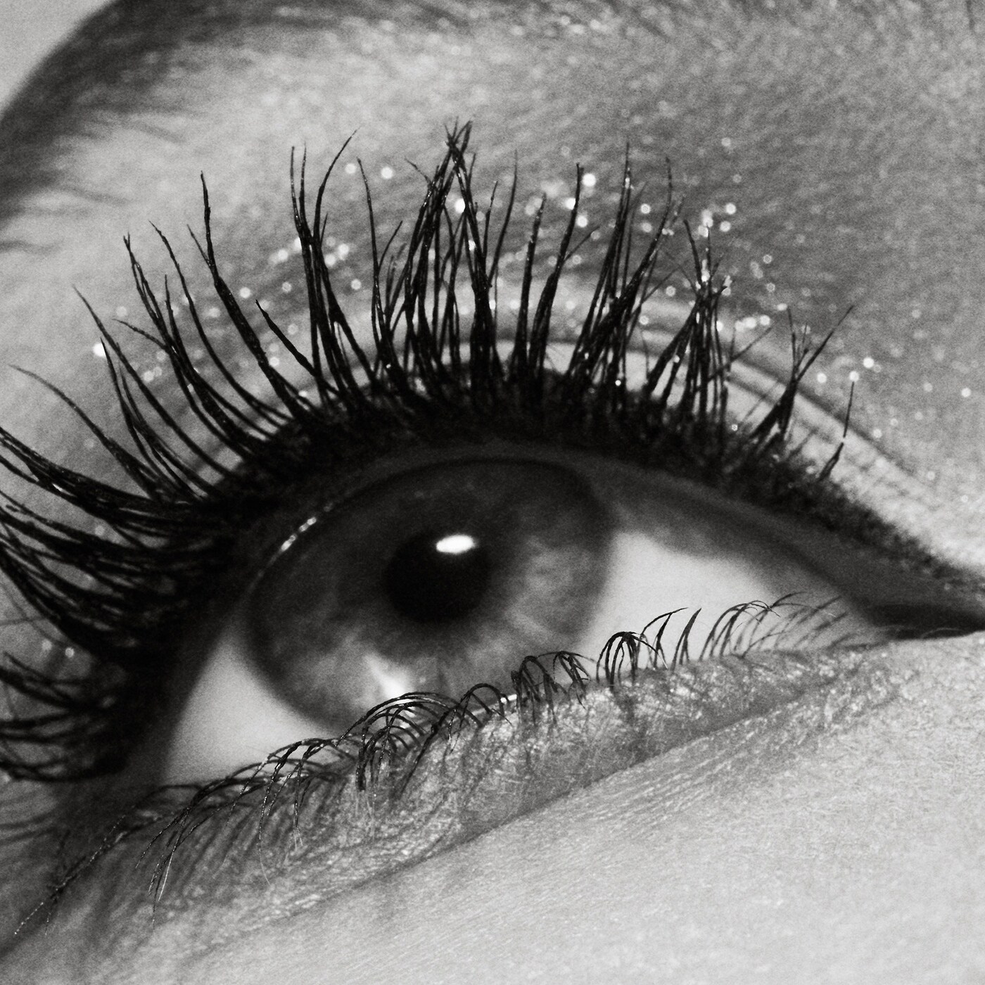 FENTY BEAUTY Full Frontal Volume, Lift & Curl Mini Mascara купить в Beauty Storage. Быстрая доставка по России и СНГ.