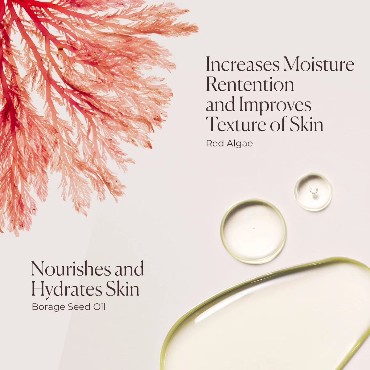 Купить LAURA MERCIER Honey Bath на Beautystorage.ru. Быстрая доставка по России и СНГ.