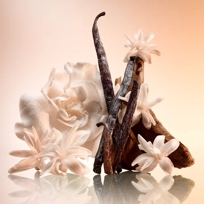 CHARLOTTE TILBURY Charlotte's Magic Joyphoria Body Cream купить в Beauty Storage. Быстрая доставка по России и СНГ.