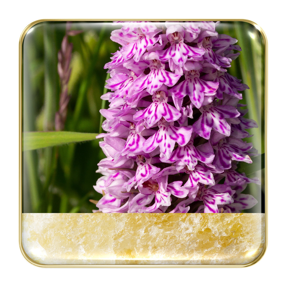 CHANTECAILLE Wild Meadows Eye Quartet купить в Beauty Storage. Быстрая доставка по России и СНГ.