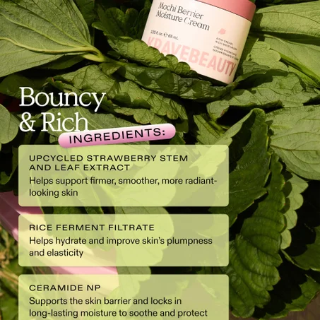Купить KRAVE BEAUTY KraveBeauty Mochi Berrier Moisture Cream на Beautystorage.ru. Быстрая доставка по России и СНГ.
