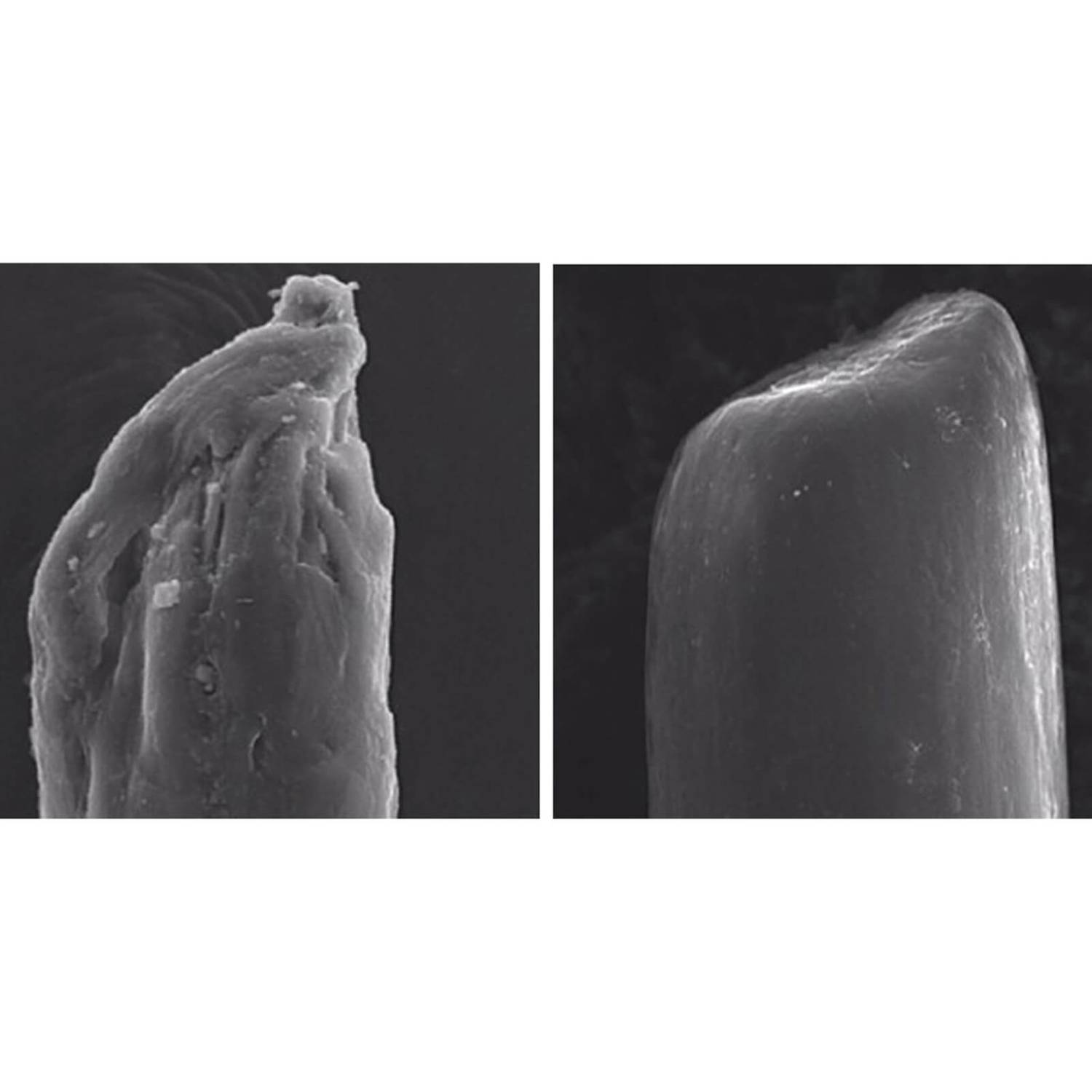 OLAPLEX No.4 Bond Maintenance Shampoo купить в Beauty Storage. Быстрая доставка по России и СНГ.
