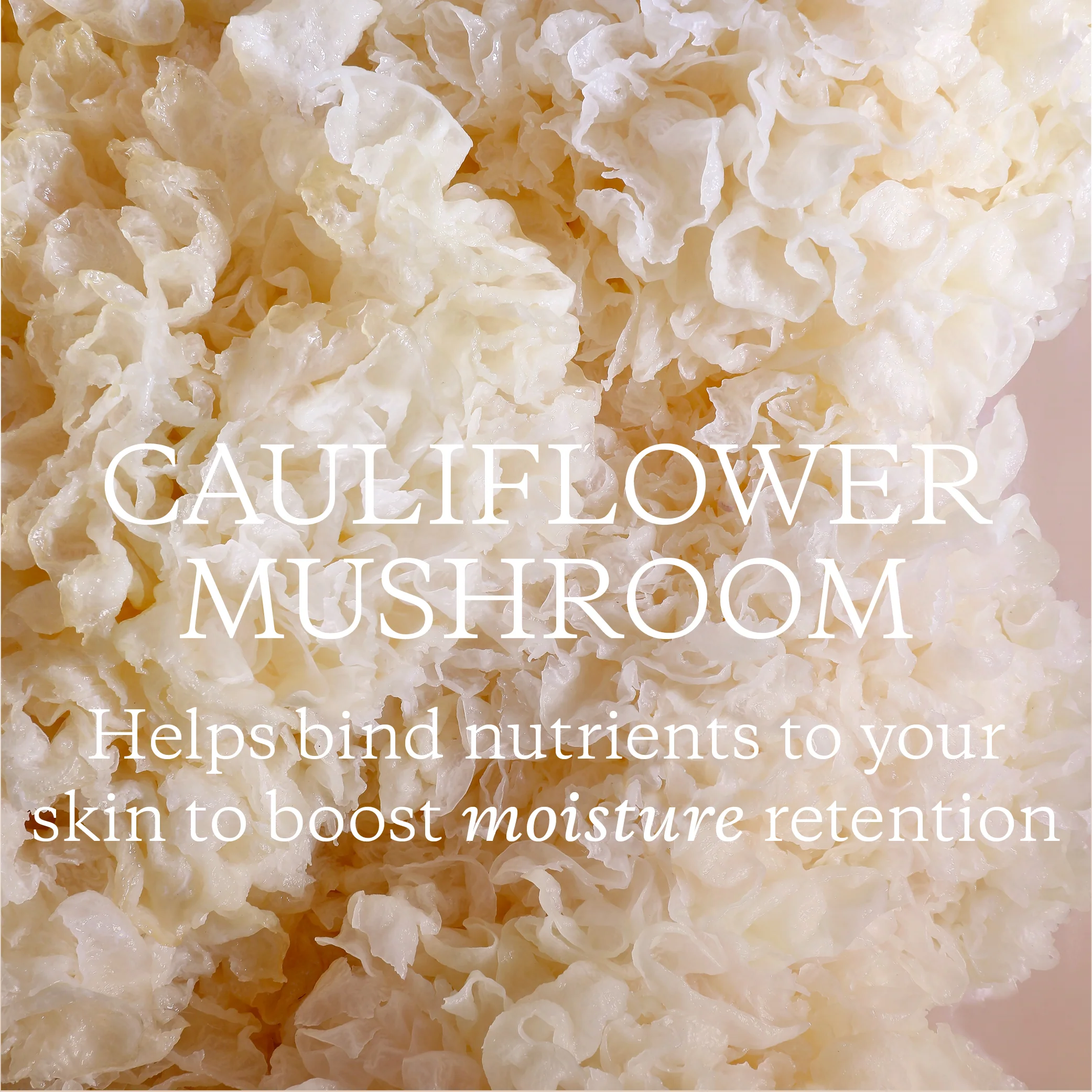 KORA ORGANICS Renewing Hand & Body Wash купить в Beauty Storage. Быстрая доставка по России и СНГ.