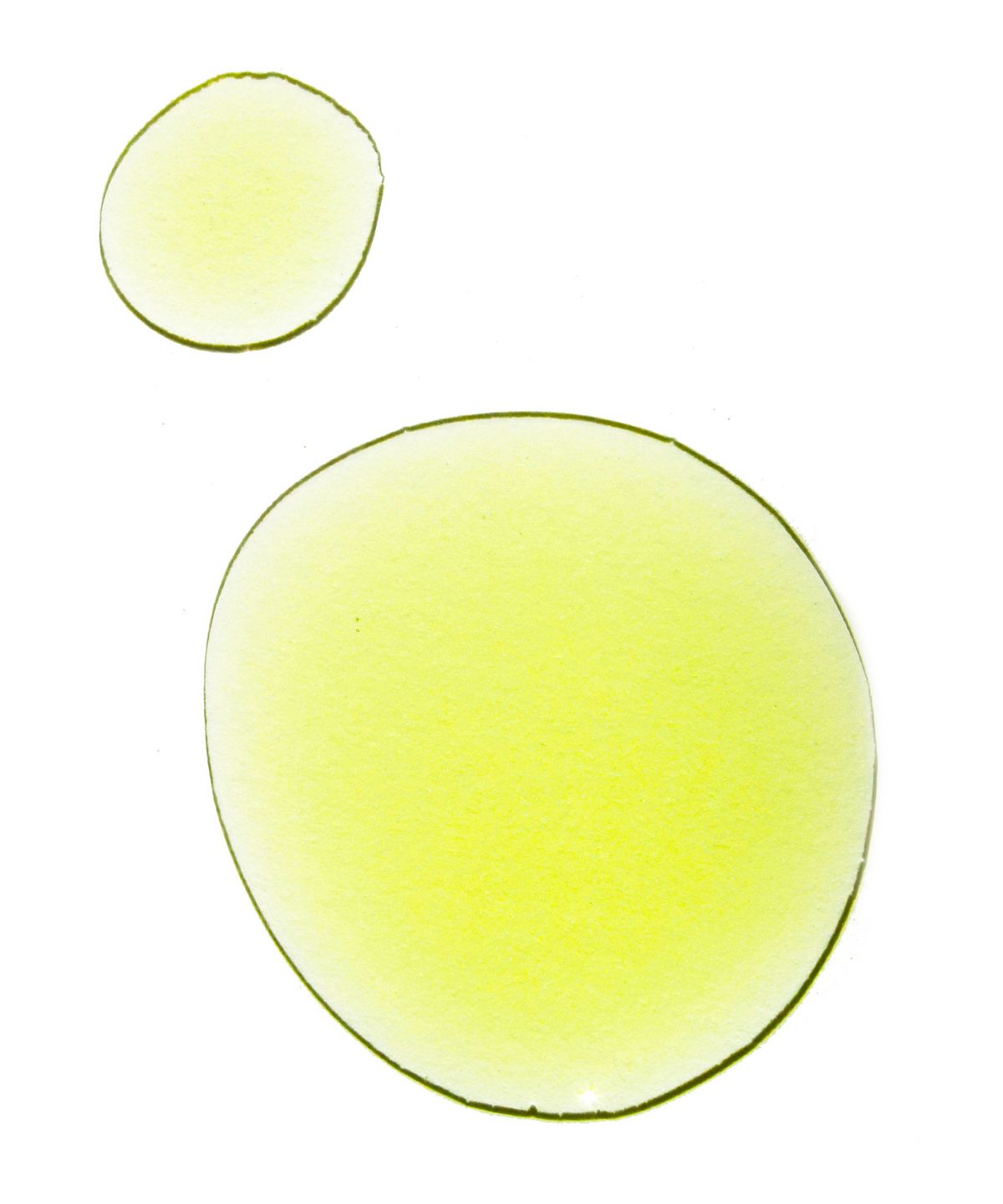 UMA Pure Bliss Wellness Oil (30ml)