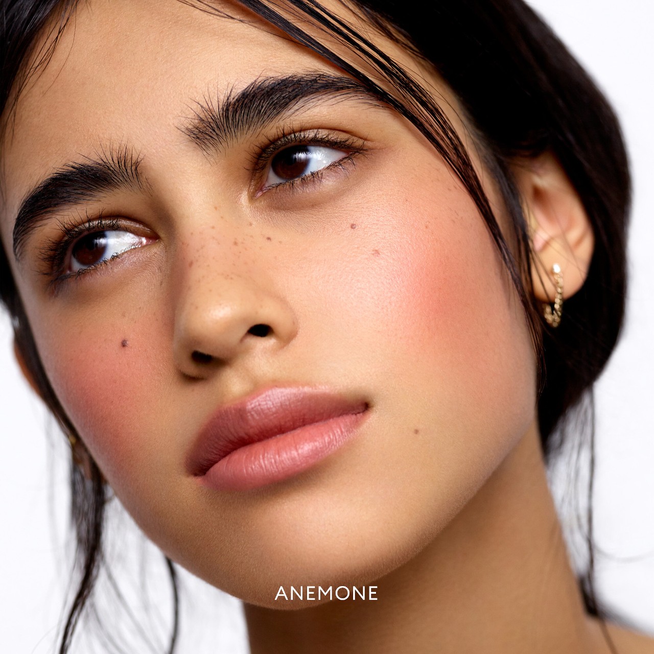 ROSE INC Cream Blush Refillable Cheek & Lip Color Refill купить в Beauty Storage. Быстрая доставка по России и СНГ.