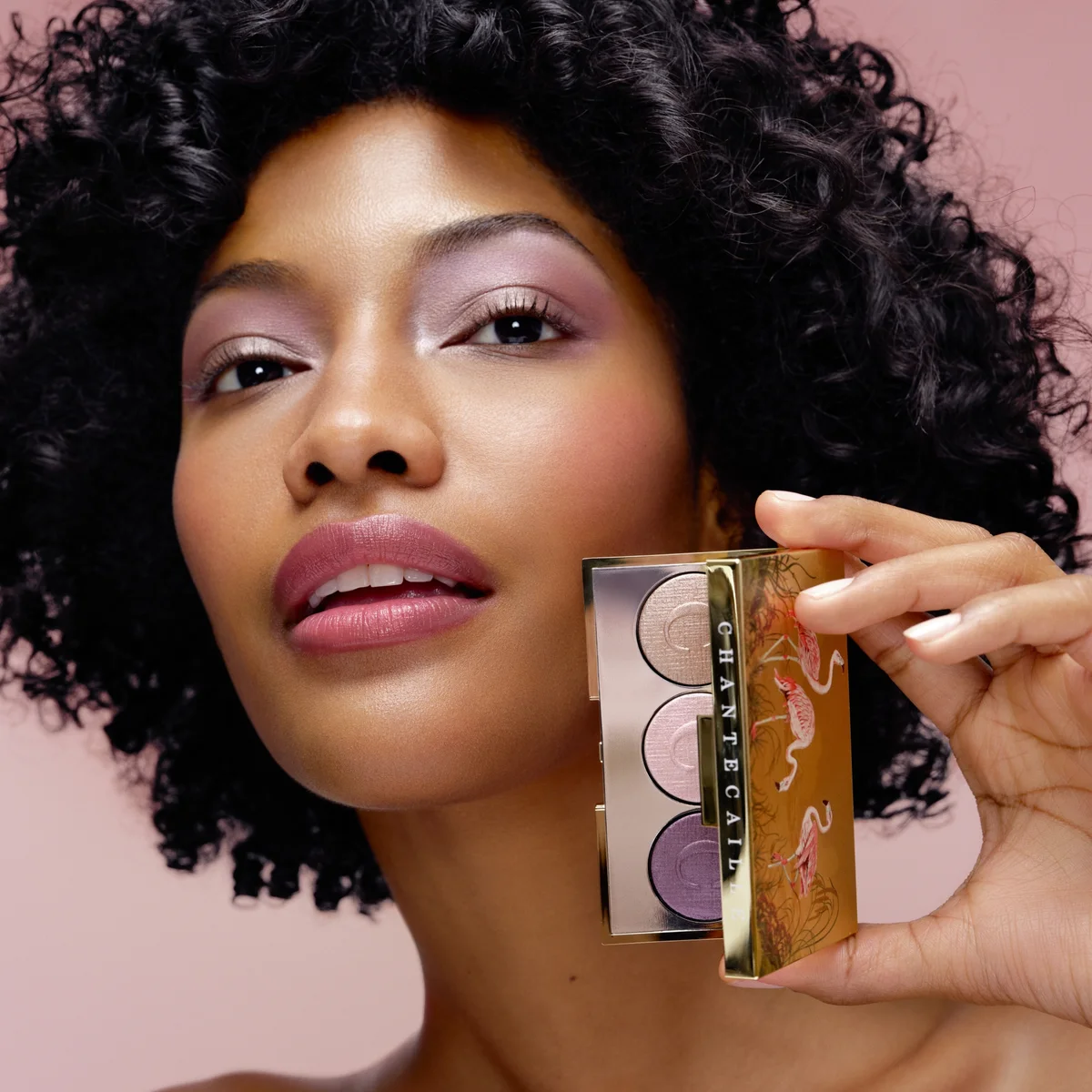 Купить CHANTECAILLE Dusk Eye Trio на Beautystorage.ru. Быстрая доставка по России и СНГ.