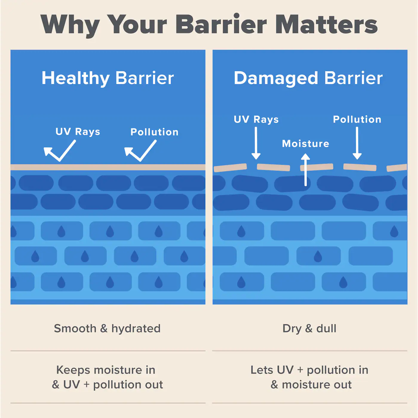 PAULA'S CHOICE Resist Barrier Repair Advanced Moisturizer  купить в Beauty Storage. Быстрая доставка по России и СНГ.