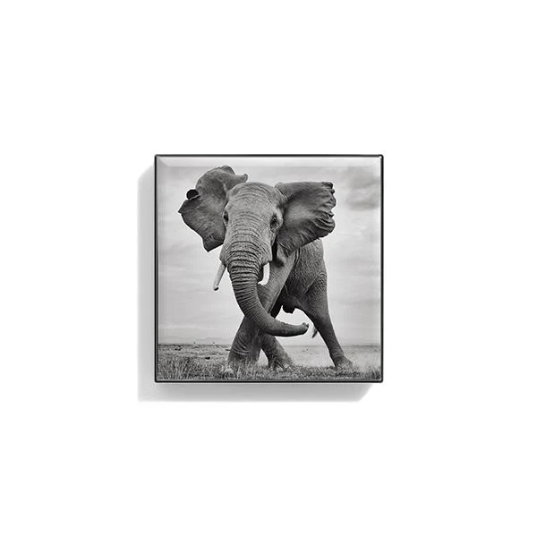 CHANTECAILLE Luminescent Eye Shades купить в Beauty Storage. Быстрая доставка по России и СНГ.