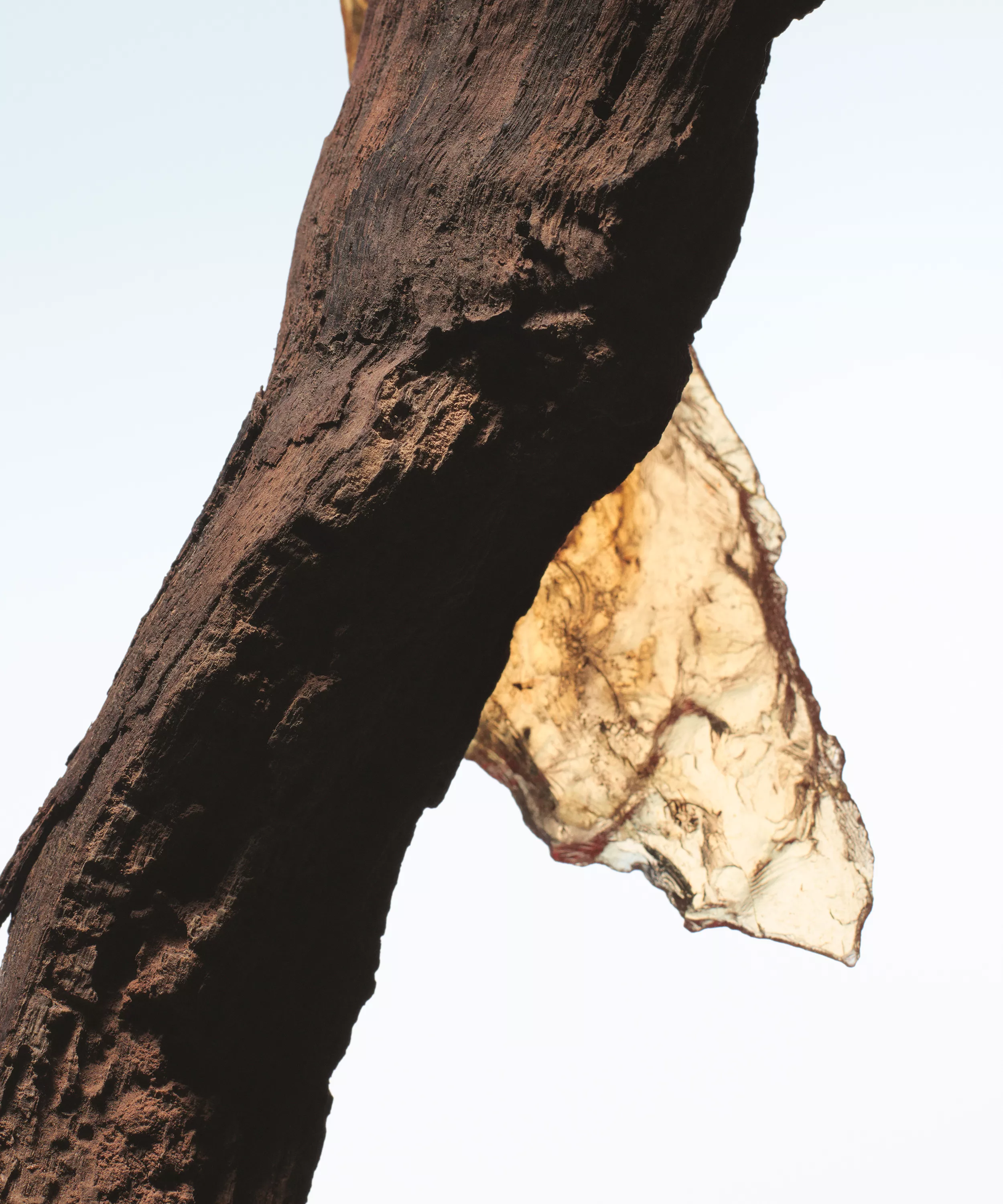 DRIES VAN NOTEN Rock The Myrrh Eau de Parfum купить в Beauty Storage. Быстрая доставка по России и СНГ.