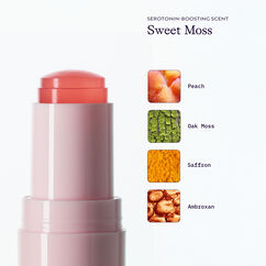 Купить JOONBYRD Confidence Mood Jelly на Beautystorage.ru. Быстрая доставка по России и СНГ.