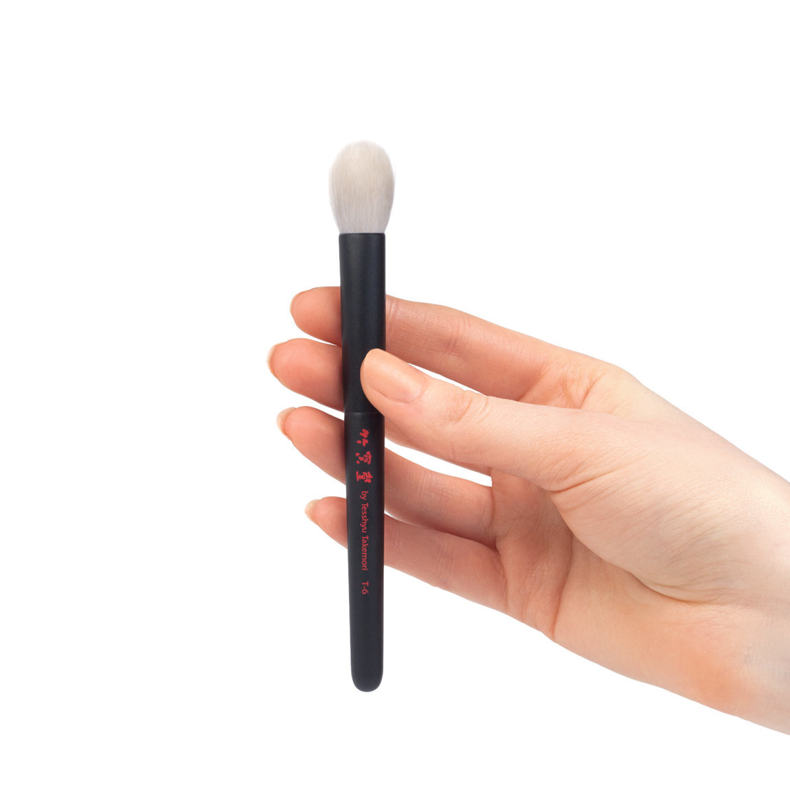 CHIKUHODO Takumi Series T-6 Large Eye Shadow купить в Beauty Storage. Быстрая доставка по России и СНГ.