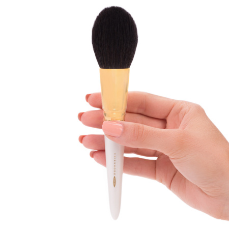 CHIKUHODO GSN Series GSN-1 Powder купить в Beauty Storage. Быстрая доставка по России и СНГ.