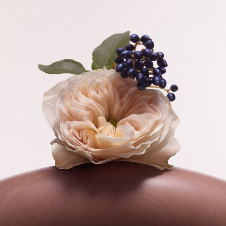 Купить ROSE INC Illuminating & Balancing Body Oil на Beautystorage.ru. Быстрая доставка по России и СНГ.