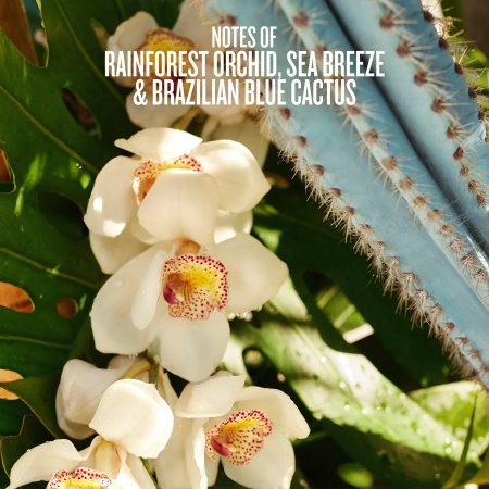 Купить SOL DE JANEIRO Refresco Paraíso Perfume Mist | Limited Edition на Beautystorage.ru. Быстрая доставка по России и СНГ.