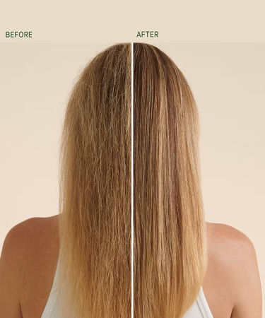 Купить KAT BURKI Bio-Ferment Renewing Shampoo на Beautystorage.ru. Быстрая доставка по России и СНГ.