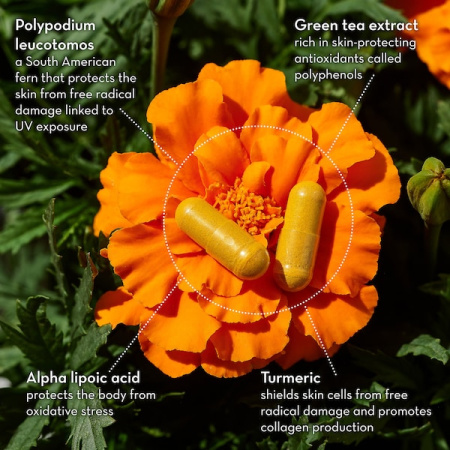 HUM NUTRITION Turn Back Time Turmeric Supplement купить в Beauty Storage. Быстрая доставка по России и СНГ.