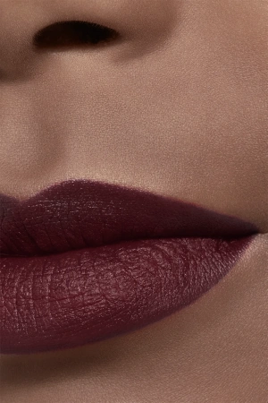 Купить CHANEL Rouge Allure Velvet Rouge Noir на Beautystorage.ru. Быстрая доставка по России и СНГ.