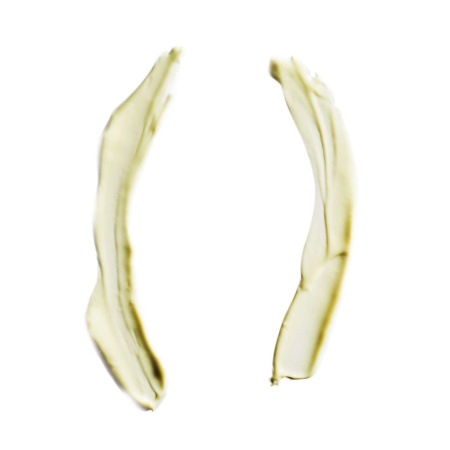 FIRST AID BEAUTY FAB Skin Lab Retinol Serum 0.25% Pure Concentrate