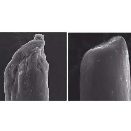 OLAPLEX No.7 Bonding Oil купить в Beauty Storage. Быстрая доставка по России и СНГ.
