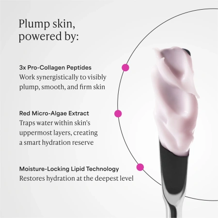 Купить PAULA'S CHOICE Pro-Collagen Peptide Plumping Intensive Moisturiser на Beautystorage.ru. Быстрая доставка по России и СНГ.