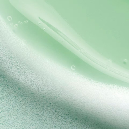 TATCHA The Matcha Cleanse Daily Clarifying Gel Cleanser купить в Beauty Storage. Быстрая доставка по России и СНГ.