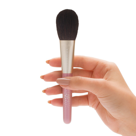 CHIKUHODO Bijou Brush Set купить в Beauty Storage. Быстрая доставка по России и СНГ.