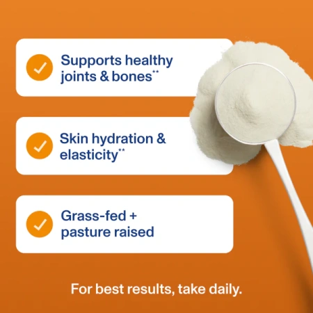 VITAL PROTEINS Pumpkin Spice Collagen Peptides купить в Beauty Storage. Быстрая доставка по России и СНГ.