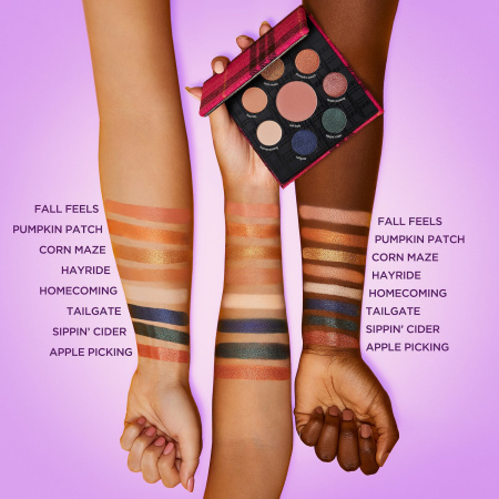 TARTE Fall Feels Eye & Cheek Palette