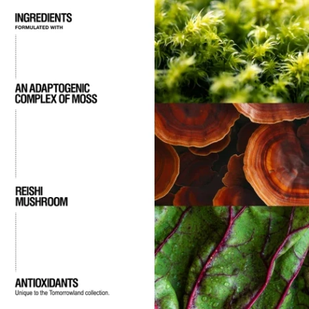 Купить GROWN ALCHEMIST + Tomorrowland: Hand + Body Wash на Beautystorage.ru. Быстрая доставка по России и СНГ.