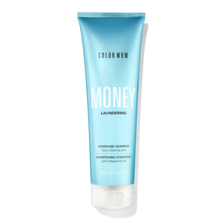 Купить COLOR WOW Money Laundering Hydrating Shampoo на Beautystorage.ru. Быстрая доставка по России и СНГ.