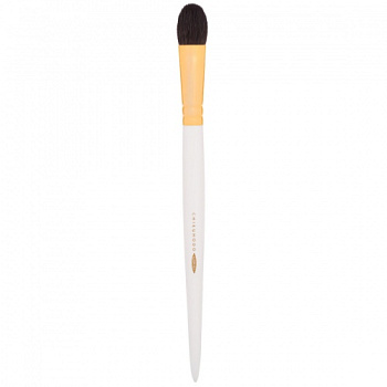 CHIKUHODO GSN Series GSN-7 Eye Shadow купить в Beauty Storage. Быстрая доставка по России и СНГ.