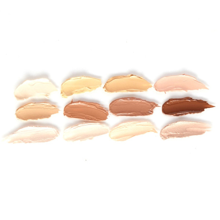LORAC PRO Conceal/Contour Palette and Brush купить в Beauty Storage.  Быстрая доставка по России и СНГ.