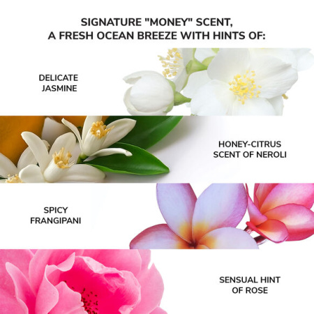 Купить COLOR WOW Money Laundering Hydrating Shampoo на Beautystorage.ru. Быстрая доставка по России и СНГ.